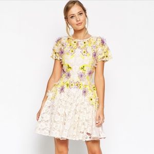ASOS SALON Appliqué Petal Lace Skater Dress